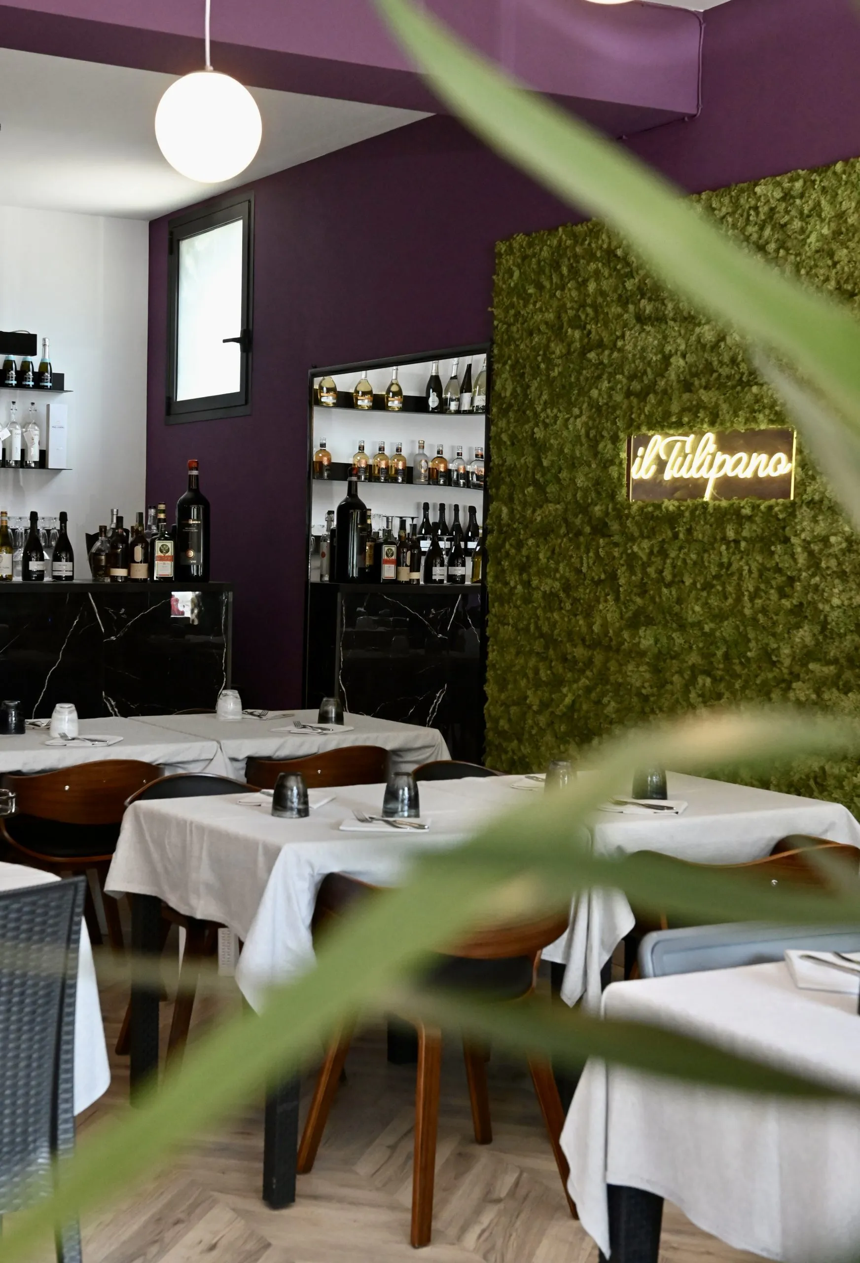 Galleria immagine 10